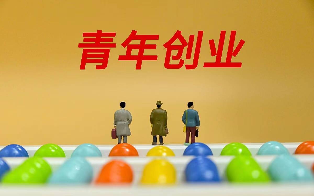 大学生创业项目成功案